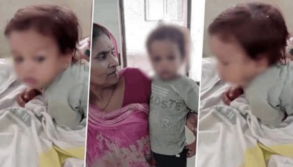 印度1岁男童误将眼镜蛇当玩具,手撕蛇并将其咬死,自己仅受轻伤