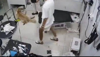 合肥一只金毛犬在宠物店洗澡后死亡,涉事店家已关门并拆掉招牌,主人:已提交诉状