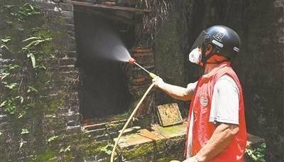 接触患者物品就会感染、康复了也会疼一辈子…… 这些有关基孔肯雅热的传言可信吗