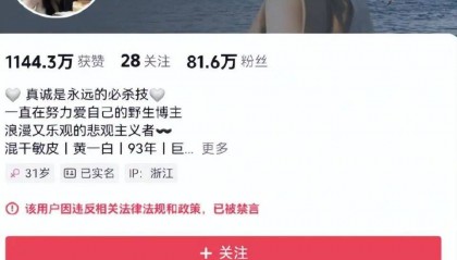 家中一年电费超40万元!千万粉丝网红大蓝的妻子晒豪宅引争议,已被禁言