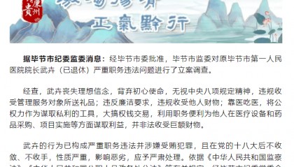 严重职务违法，原院长武卉被取消相应退休待遇