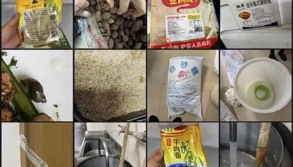 上海世外临港学校食材腐败发霉!据统计:超百学生曾出现腹泻等症状