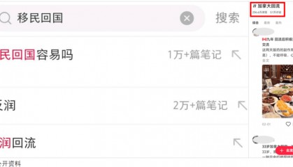 移民的中产，正排队回国