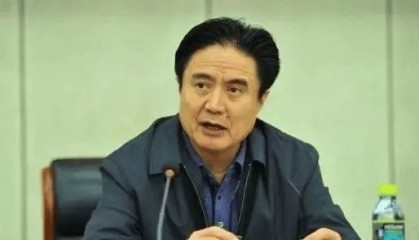 正部级罗保铭，被逮捕