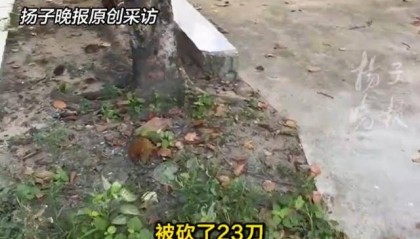 凶手砍死祖孙三代后称吃5年精神病药