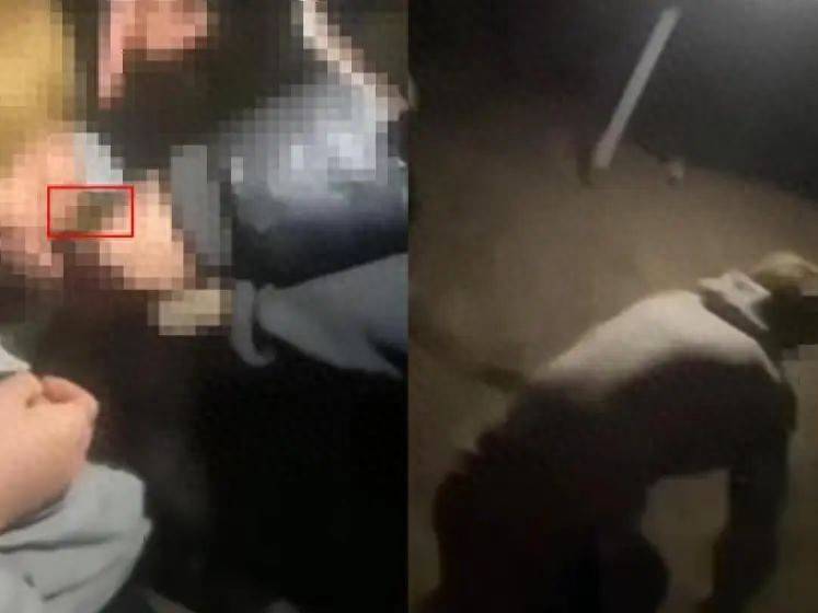 甘肃16岁男生遭多人欺辱殴打，被逼跪地爬行学狗叫