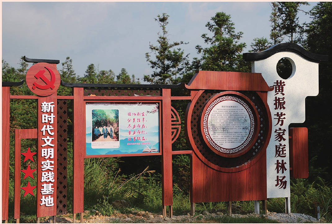 学习·故事丨青山变“金”山 习近平与三棵杉树的故事