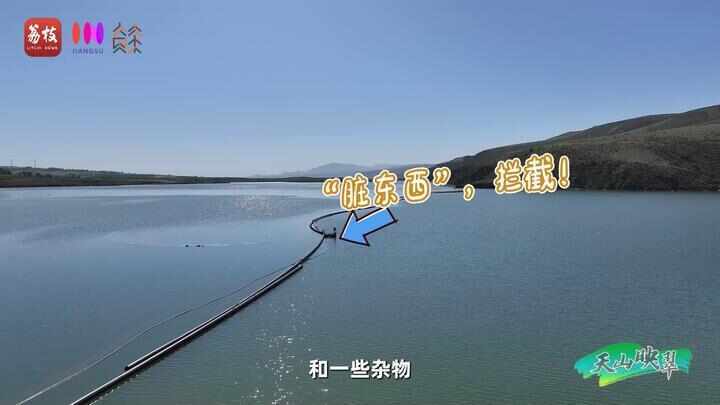 “县”在起笔 青绿绘江山丨天山映翠处，云杉碧水共新生