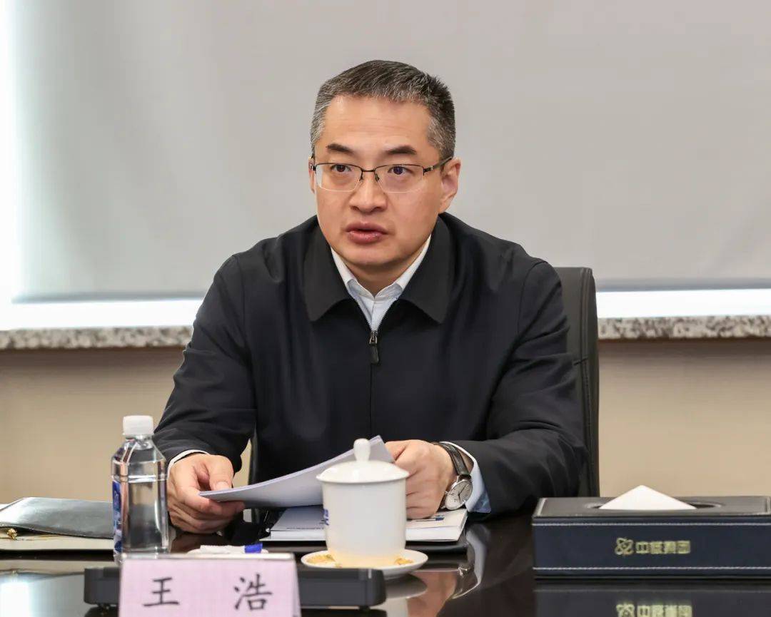 市长王浩,拟进一步使用